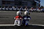 Dcim11937/DSC_6429