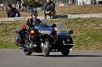 Dcim11938/DSC_6461
