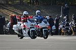 Dcim11938/DSC_6493