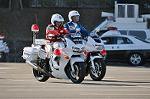 Dcim11938/DSC_6495