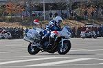 Dcim11938/DSC_6504