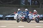 Dcim11938/DSC_6506