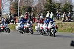Dcim11938/DSC_6509