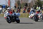 Dcim11938/DSC_6513