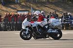 Dcim11938/DSC_6519