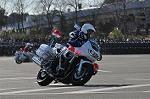 Dcim11938/DSC_6524