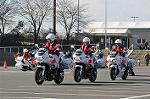 Dcim11938/DSC_6527