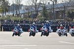 Dcim11938/DSC_6551