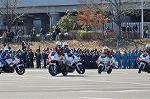 Dcim11938/DSC_6555