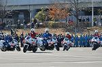 Dcim11938/DSC_6556