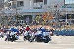 Dcim11938/DSC_6564