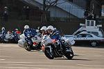 Dcim11939/DSC_6573