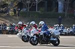 Dcim11939/DSC_6576