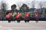 Dcim11939/DSC_6602