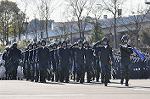 Dcim11939/DSC_6632