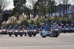 Dcim11939/DSC_6676