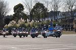 Dcim11939/DSC_6679
