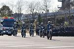 Dcim11939/DSC_6686