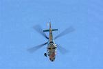 Dcim11941/DSC_9508