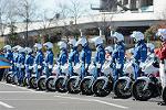 Dcim11941/DSC_9544