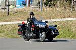 Dcim11941/DSC_9558