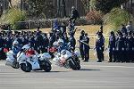 Dcim11941/DSC_9573