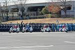 Dcim11941/DSC_9587