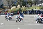 Dcim11941/DSC_9594
