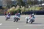 Dcim11941/DSC_9595