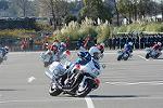 Dcim11942/DSC_9609