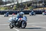 Dcim11942/DSC_9613