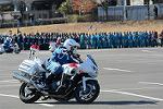 Dcim11942/DSC_9615