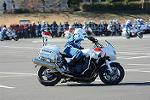 Dcim11942/DSC_9616