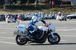 Dcim11942/DSC_9617