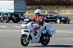 Dcim11942/DSC_9665