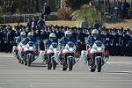 Dcim11942/DSC_9667