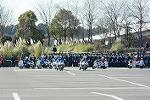 Dcim11942/DSC_9674