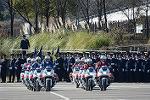Dcim11942/DSC_9676