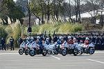 Dcim11942/DSC_9679