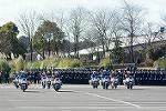 Dcim11942/DSC_9684