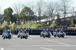Dcim11942/DSC_9686