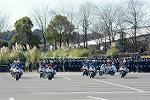 Dcim11942/DSC_9687
