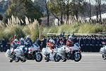 Dcim11942/DSC_9688