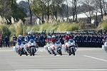 Dcim11942/DSC_9691