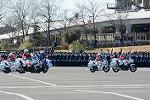 Dcim11942/DSC_9696