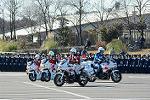 Dcim11942/DSC_9705