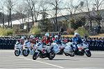 Dcim11942/DSC_9706
