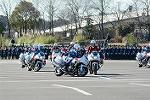 Dcim11942/DSC_9709
