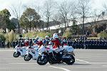 Dcim11942/DSC_9717