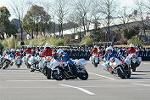 Dcim11942/DSC_9725